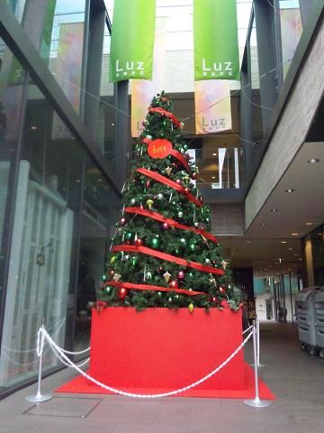 111202luzツリー