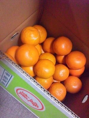 120127mikan1
