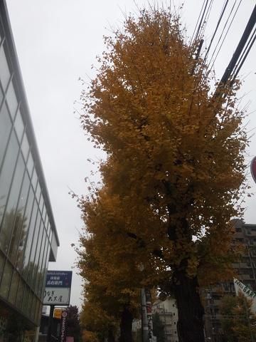 111108itoyu