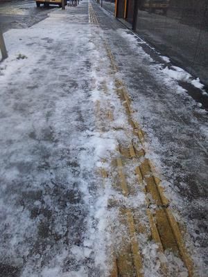 120124-2雪