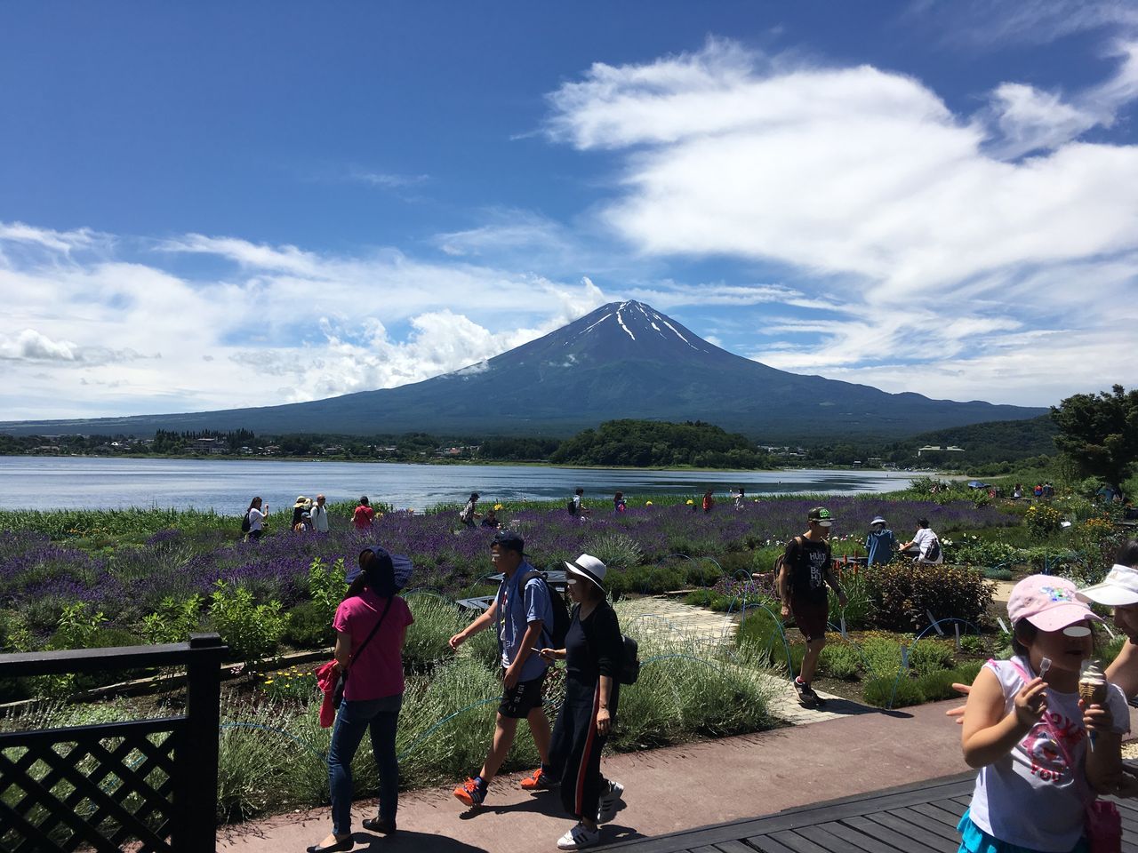 20170705lavender4