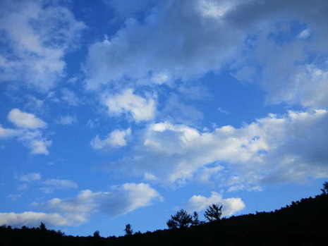 2011100416050001