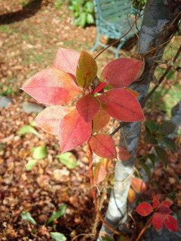 2011111209580000
