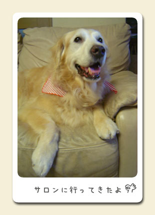 20070706_WENDY.jpg