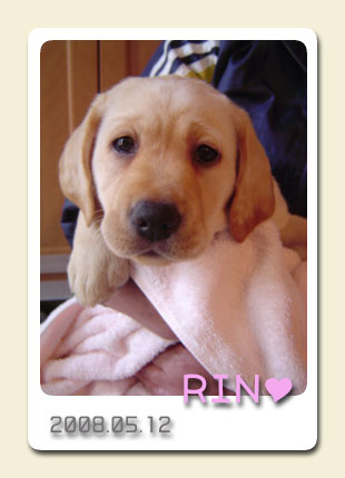 20080512_RIN.jpg