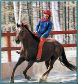 93635e60.jpg