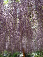 DSC06045