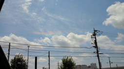 201005161252000