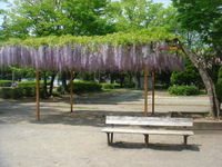 DSC06042