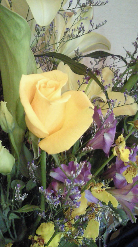 201005171017000