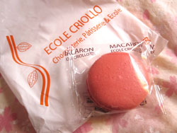 20120206ecmr