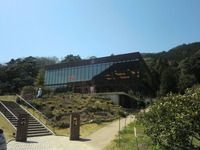CIMG9239