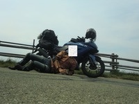 CIMG8784111
