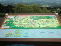 CIMG8831