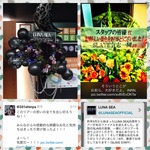 大阪城ホールお花企画