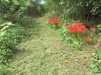 IMG_3214 s