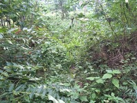 IMG_3202 s