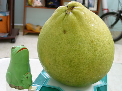 buoi