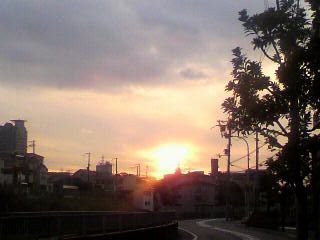 2011010316370001
