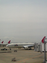 d2f7e80d.jpg