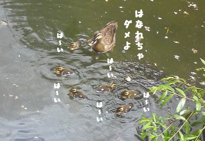 20140622_02