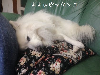 20140309_03