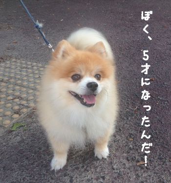 20140803 _02