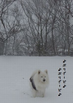 20140209_05