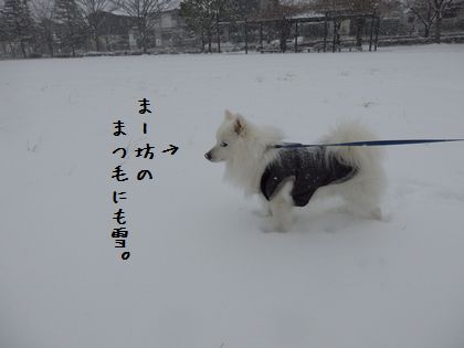 20140209_04