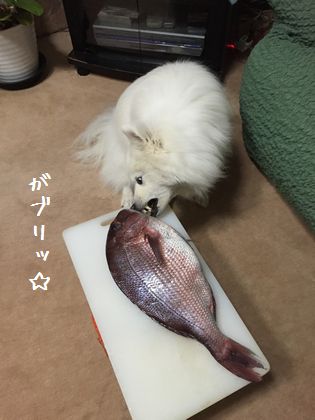 20150201_04