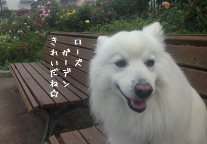 20140622_04