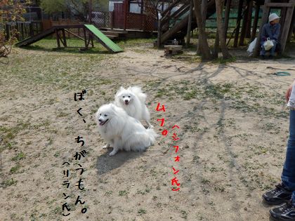 20140427_06