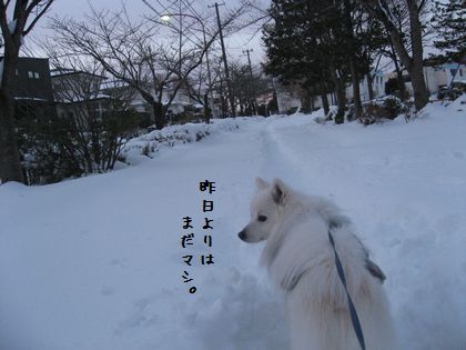 20140210_03