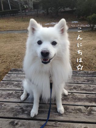 20140309_01