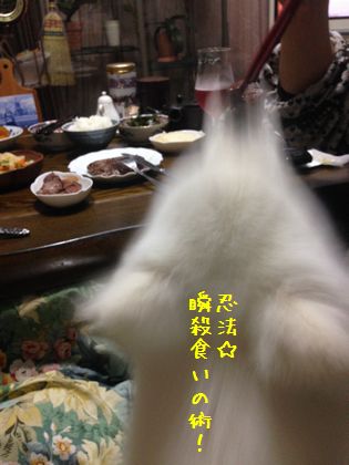 20140616_04