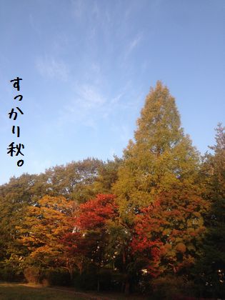 20141103 _02