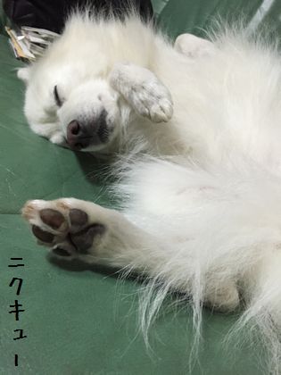 20141130_03