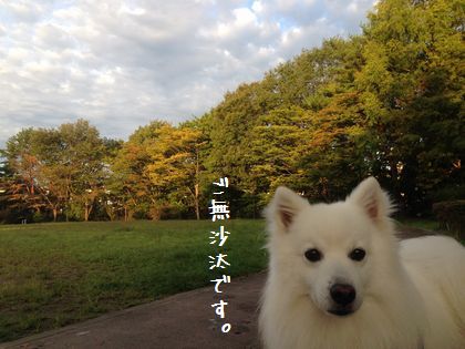 20140928_02