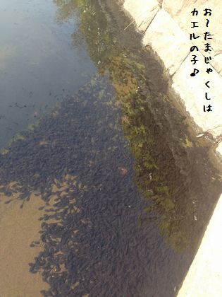 20140505_08