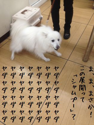 20141113 _01