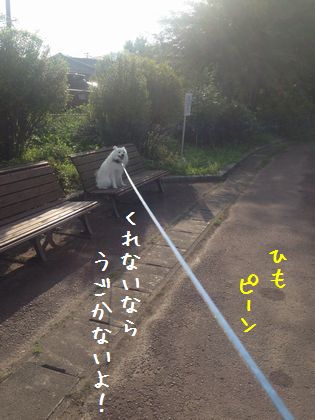 20140824 _07