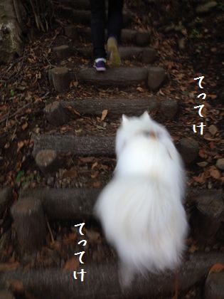 20141011_04