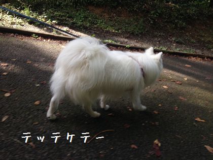 20141005_03