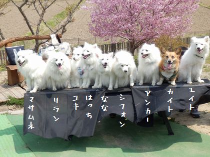 20140427_09