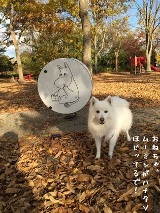 20141124 _06
