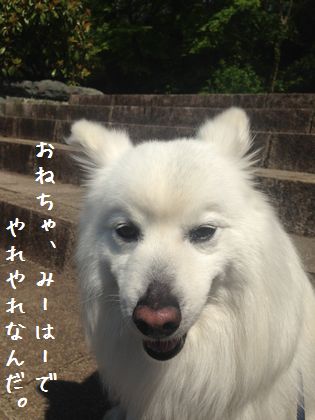 20140505_04