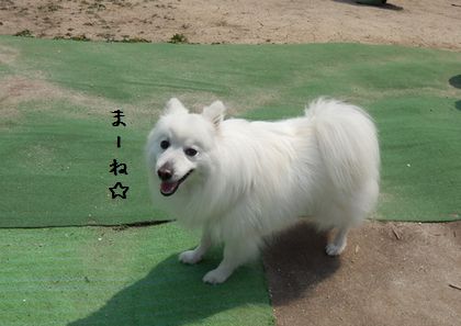 20140427_07