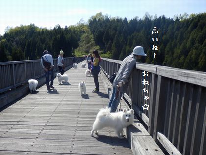 20140517_01