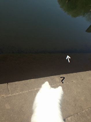 20140505_07
