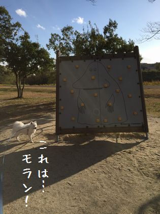 20141124 _03